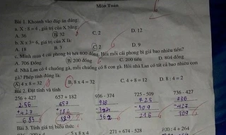Tranh cãi 'nảy lửa' với bài toán tính số gà trong chuồng