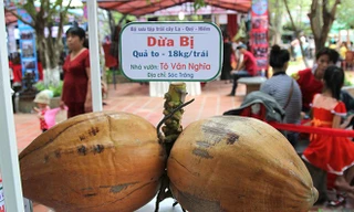 Củ quả độc lạ gặp nhau tại lễ hội trái cây Sài Gòn