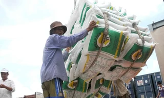 Việt Nam thắng thầu 800.000 tấn gạo