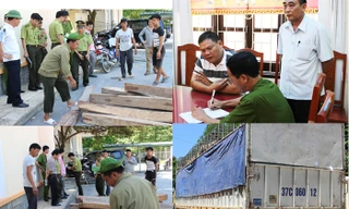 Xác minh bọc tiền 100 triệu đồng kiểm lâm vứt ở gốc cây