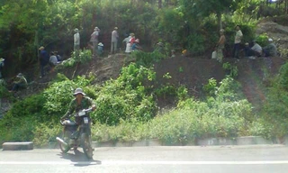 Dân phá tung quốc lộ để tìm... gỗ sưa