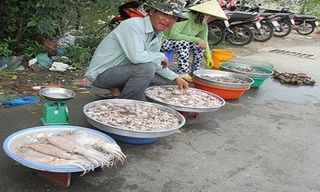 Mực đông lạnh giá rẻ bất ngờ được bán trên lề đường Lê Văn Lương (huyện Nhà Bè, TP HCM) khi đã sơ chế.