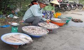 Mực đông lạnh giá rẻ bất ngờ được bán trên lề đường Lê Văn Lương (huyện Nhà Bè, TP HCM) khi đã sơ chế.