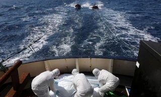 Cơ quan cứu trợ Tây Ban Nha vớt thi thể các nạn nhân trong vụ hai thuyền di cư bị chìm trên biển Địa Trung Hải. Ảnh: Reuters