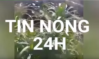 Tin nóng 24H: Lộ video được cho là ghi lại cảnh sát hại ông Kim Jong-nam