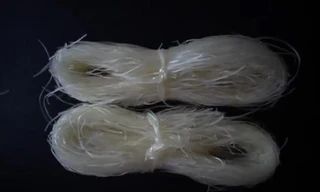 Rùng mình miến bẩn nhuộm phẩm màu không rõ nguồn gốc