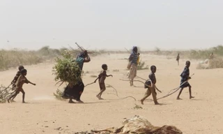 Hạn hán nghiêm trọng đang giết dần Somalia. Ảnh: Twitter