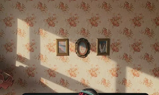 Học ngay sao Việt bí quyết ở nhà tránh dịch cũng có ảnh sống ảo siêu đẹp