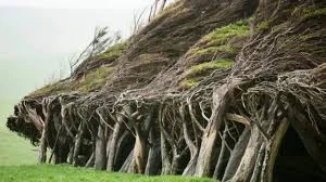 Nơi bị sét đánh nhiều nhất thế giới?