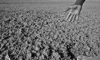 Những đợt hạn hán khủng khiếp nhất lịch sử thế giới