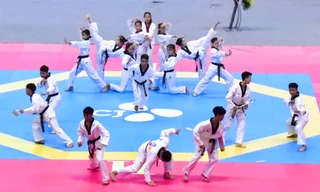 Giải vô địch Taekwondo các lứa tuổi trẻ quốc gia – CJ 2023 lần thứ 3 tại Hà Nội 