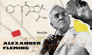 1001 thắc mắc: Ai là người tìm ra kháng sinh Penicillin?