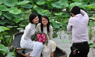 Xao xuyến với sen đầu mùa