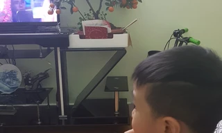 Nhiều gia đình "khổ sở" vì không có người trông trẻ kỳ nghỉ Tết.