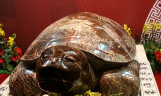 Rùa đá nặng 2 tấn