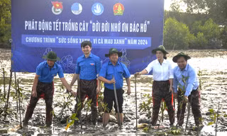 Bí thư Trung ương Đoàn trồng cây tại khu bãi bồi cực Nam Tổ quốc