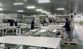 Siba Group hợp tác với đối tác Nhật Bản đẩy mạnh năng lượng tái tạo tại Việt Nam 