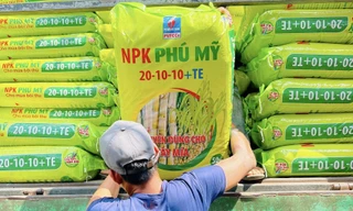 Sản phẩm NPK Phú Mỹ được vinh danh là 'Thương hiệu Vàng nông nghiệp Việt Nam năm 2024 '