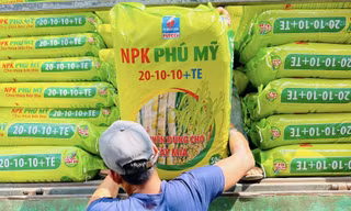 PVFCCo tăng trưởng ấn tượng trong tiêu thụ và mở rộng thị trường trong nửa đầu năm 2024