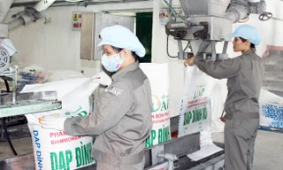 DAP - Vinachem đặt kế hoạch tiêu thụ 56.000 tấn DAP trong những tháng cuối năm 