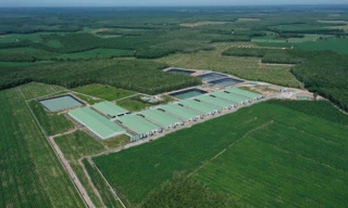 Doanh nghiệp chăn nuôi tiên phong phát triển bền vững tại Việt Nam