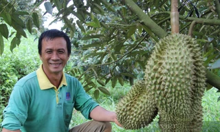 NPK Phú Mỹ: Kết nối thành công, phát triển bền vững cùng thủ phủ sầu riêng 