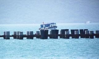 Hàng cọc đã đóng