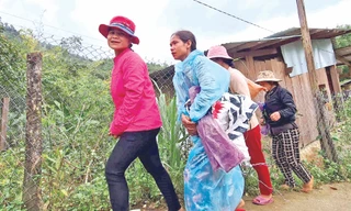 Người dân Trà Leng lên rẫy trồng quế 