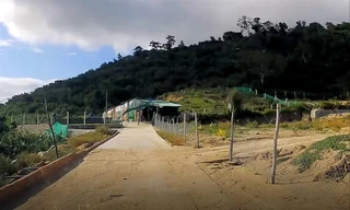 Nhiều nhà tôn kiên cố được xây dựng tại con đường bê tông mới mở tại chân núi Hòn Rồng Ảnh: Lữ Hồ 