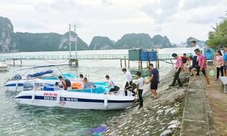 Tạm dừng toàn bộ xuồng cao tốc trên vịnh Hạ Long 