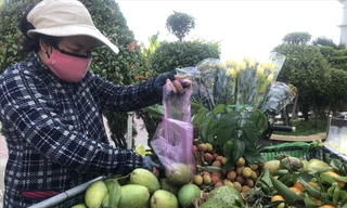 Chị Lê Thị H. bán trái cây dạo nhưng mỗi tháng trả gần 3,5 triệu đồng cho công ty tài chính Ảnh: U.P 