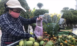 Chị Lê Thị H. bán trái cây dạo nhưng mỗi tháng trả gần 3,5 triệu đồng cho công ty tài chính Ảnh: U.P 