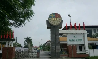 Tổng công ty giấy và gánh nặng thua lỗ