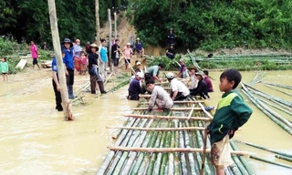 Dân DCTD kết tre làm cầu tạm 