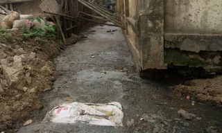 Một dòng mương đặc quánh vì chất thải cạnh trường Tiểu học Dương Liễu B 