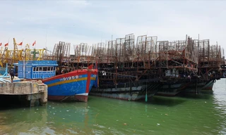 Hàng chục tàu câu mực đang neo đậu tại cảng An Hòa (Núi Thành, Quảng Nam)