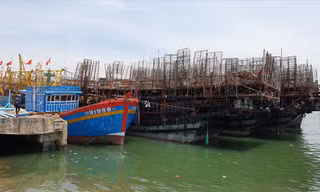 Hàng chục tàu câu mực đang neo đậu tại cảng An Hòa (Núi Thành, Quảng Nam)