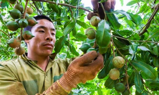 Ám ảnh bóng ma đa cấp thời 4.0: Chiêu cuội bán vịt giời