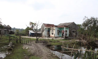 Dù đã nhường đất cho dự án, nhiều người dân quay lại sinh sống khi dự án nằm im 10 năm nay