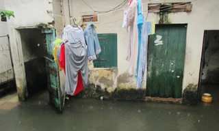 Sinh viên sống chung với gián, chuột