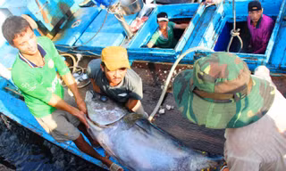  Đánh bắt xa bờ vừa hiệu quả, tránh tận diệt thủy sản nhỏ, tập trung gần bờ.