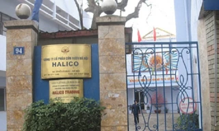 Chủ thương hiệu Vodka Hà Nội trượt dài trong thua lỗ