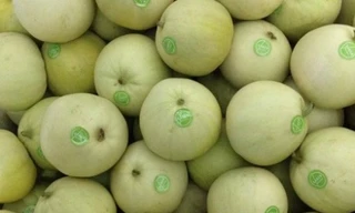 Dưa lê Trung Quốc thường có mẫu mã bắt mắt hơn hàng Việt.