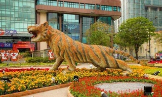 Đường hoa Nguyễn Huệ mở thêm 2 ngày đến hết 6/2