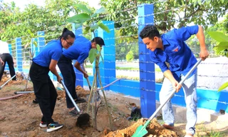 Sinh viên hưởng ứng chương trình trồng cây ‘Vì một Ký túc xá xanh’
