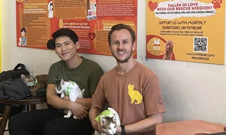 Quán cà phê cứu hộ mèo của chàng trai trẻ ngoại quốc và nhóm bạn