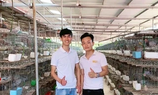 Lựa chọn làm giàu trên mảnh đất quê hương