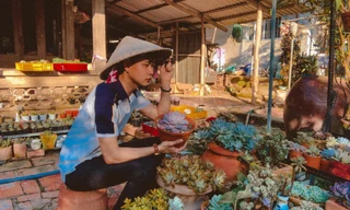 Chàng trai miền Tây sở hữu vườn sen đá khiến bao người 'mê mẩn'