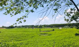 Thú vị tọa đàm “Hiểu về trồng rừng giữ nước”