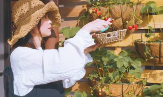 Học hỏi “bí kíp” sống xanh triệt để của cô gái Việt tại Nhật Bản